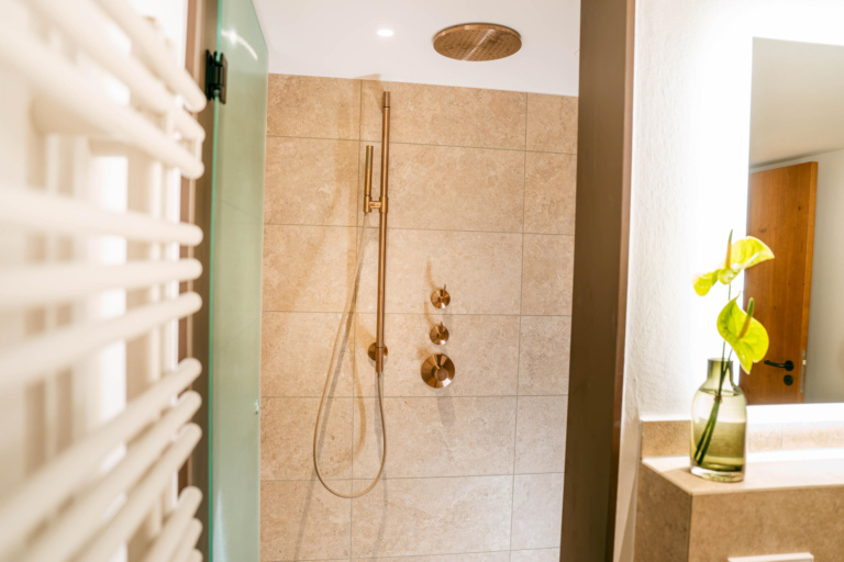 This image does not have a description but we are working on it.