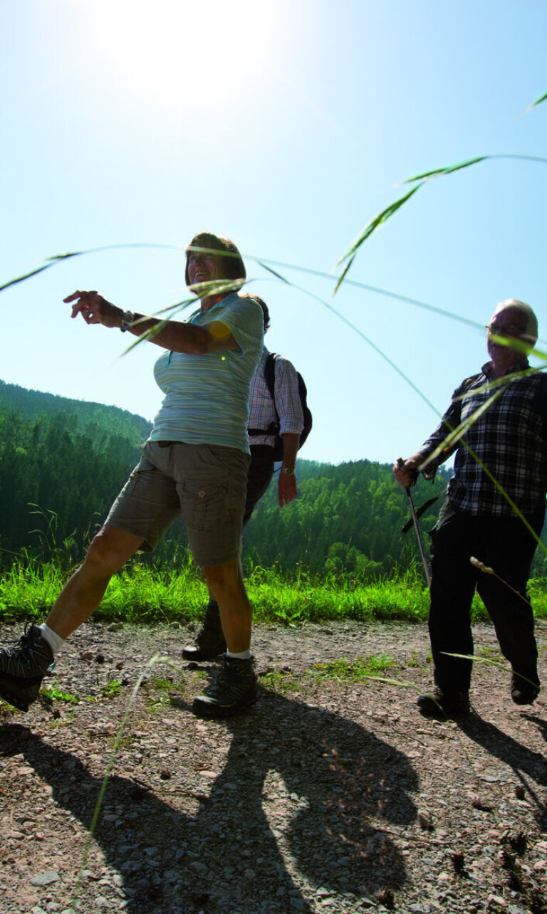 Zwei Personen wandern mit Rucksäcken und Wanderstöcken auf einem Waldweg bei Sonnenschein im Schwarzwald.
