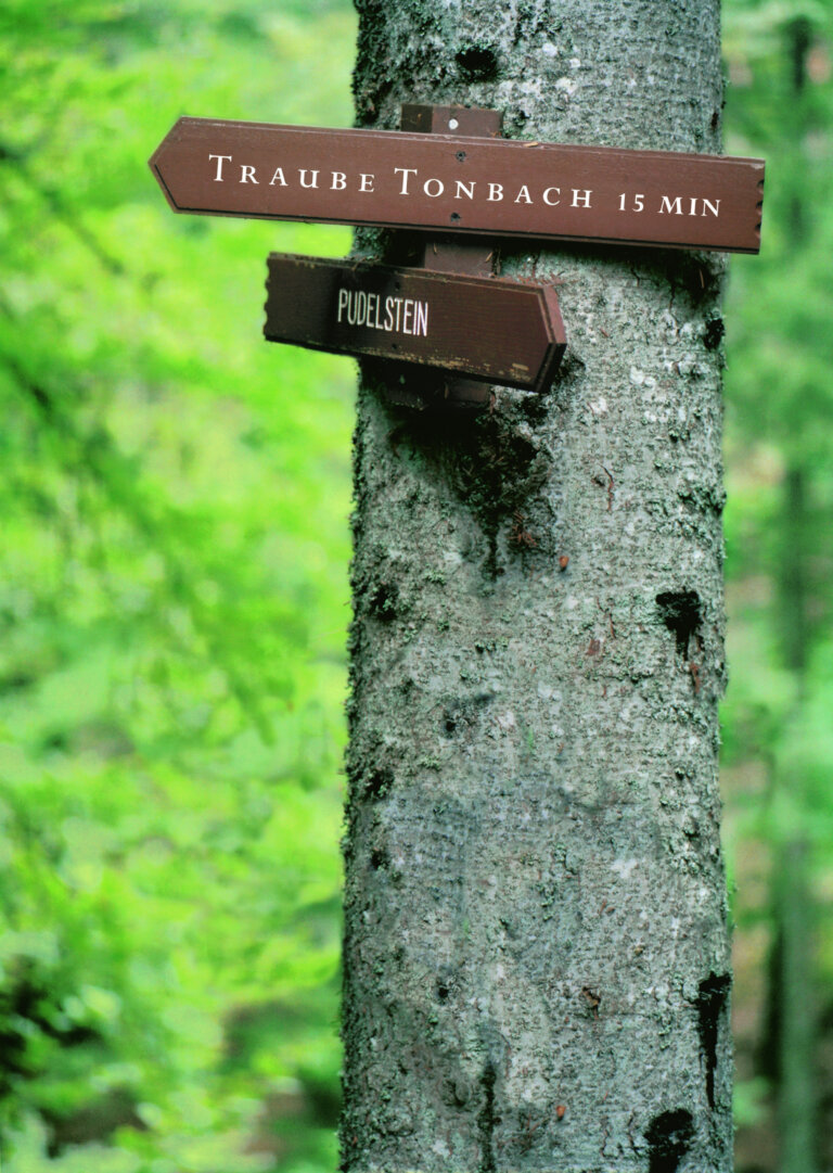 Ein Wegweiser an einem Baum im Wald mit der Aufschrift "Traube Tonbach" und "Pudelstein".