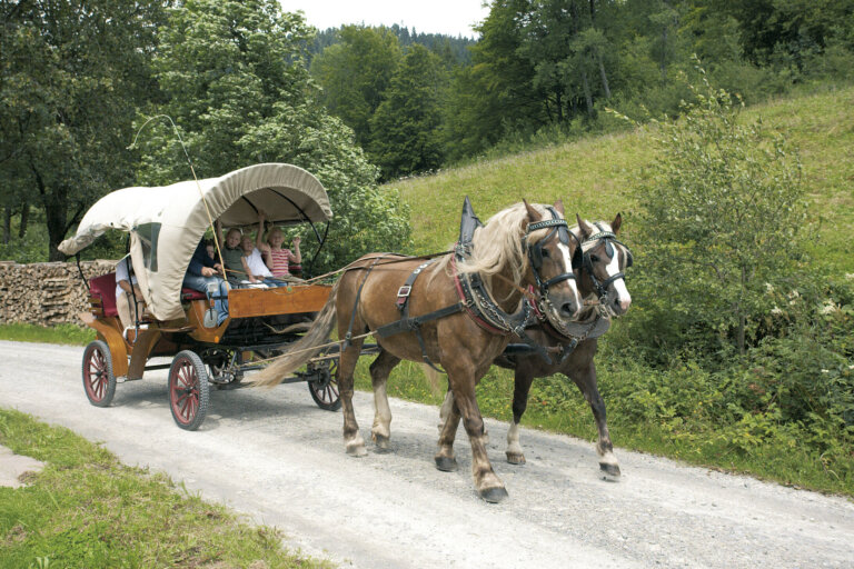 Ein Familienausflug mit Pferdekutsche durch die Natur rund um das Hotel Traube Tonbach, zwei Pferde ziehen den Wagen auf einem Waldweg.