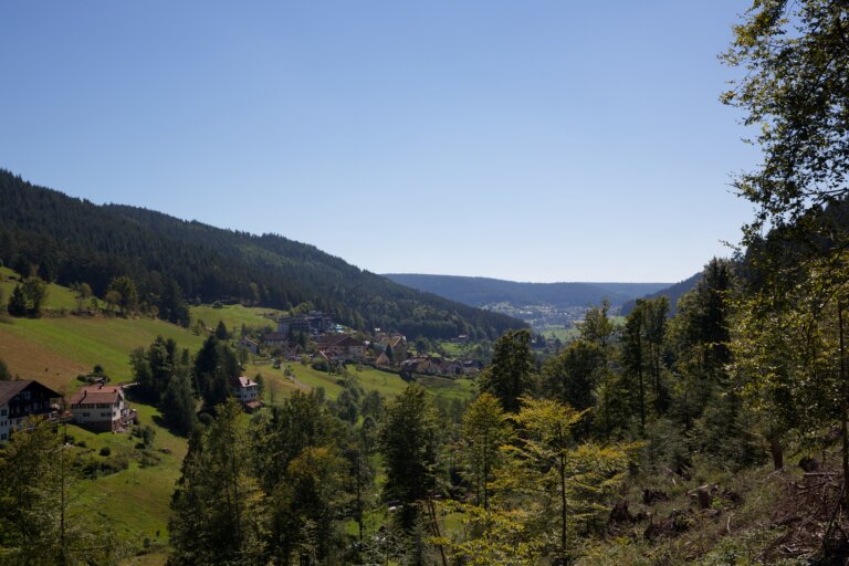 Ausblick aus einem Hotelzimmer auf eine hügelige Landschaft im Schwarzwald mit bewaldeten Bergen im Hintergrund.