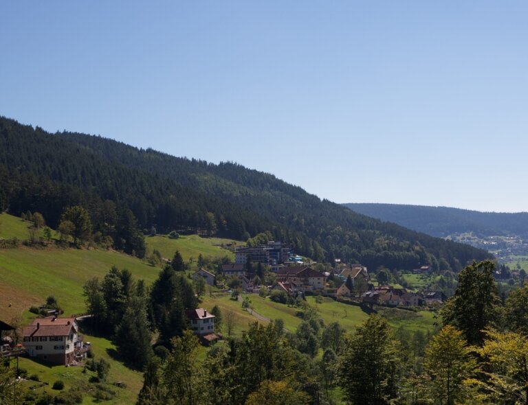 Blick auf eine hügelige Landschaft im Schwarzwald mit mehreren Häusern im Vordergrund und bewaldeten Bergen im Hintergrund.