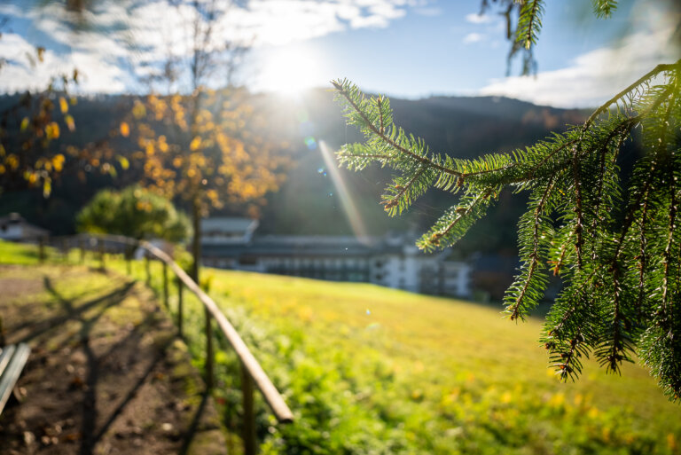 Sicht auf eine Wiese mit einem Geländer im Vordergrund, im Hintergrund Bäume und ein Gebäude, Sonnenstrahlen scheinen durch die Äste.