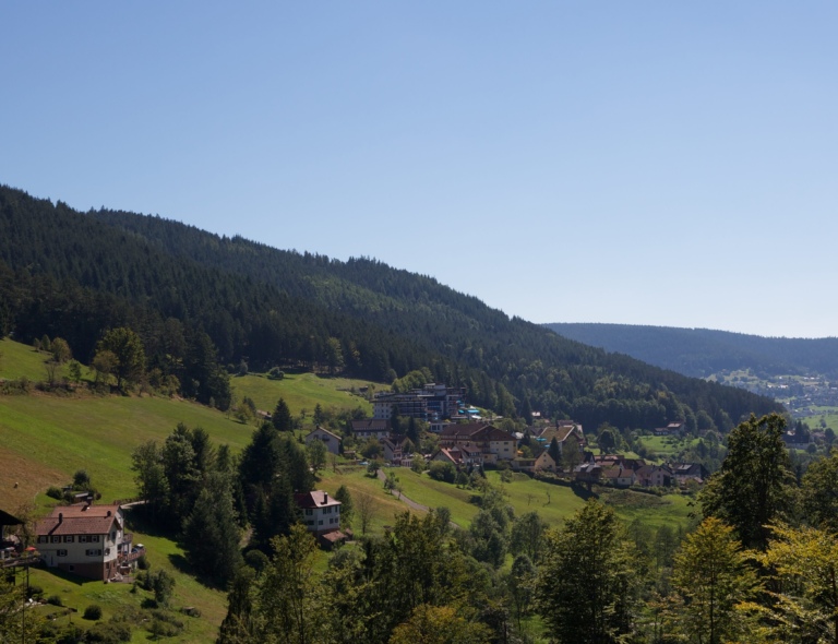 Blick auf eine hügelige Landschaft im Schwarzwald mit mehreren Häusern im Vordergrund und bewaldeten Bergen im Hintergrund.