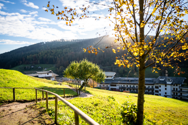 Sicht auf eine Wiese mit einem Luxushotel im Hintergrund, zwei Bäume im Vordergrund, Sonnenstrahlen scheinen durch die Äste.