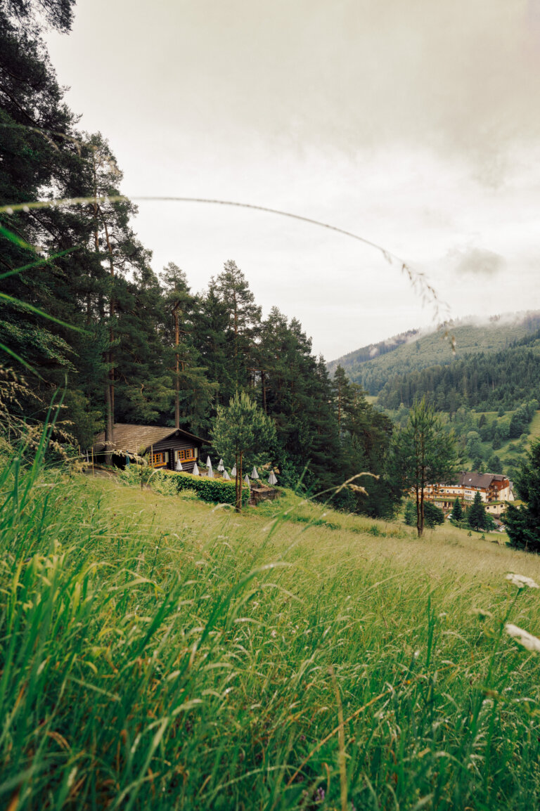 Blockhütte im Schwarzwald mit Blick auf die umliegende Berglandschaft – Naturidylle beim Luxushotel Traube Tonbach.