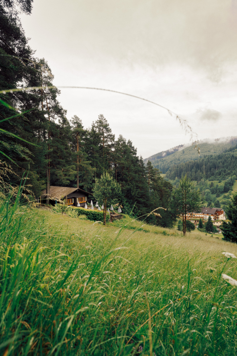 Blockhütte im Schwarzwald mit Blick auf die umliegende Berglandschaft – Naturidylle beim Luxushotel Traube Tonbach.