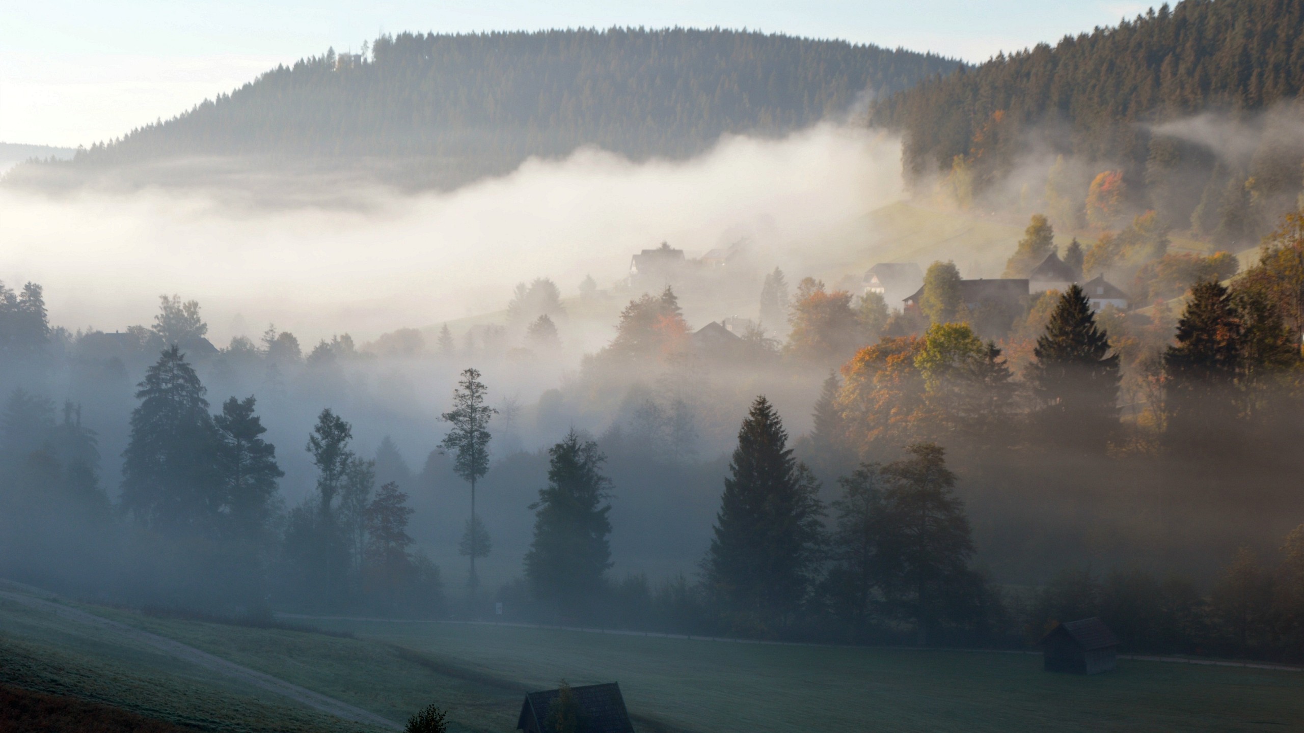Nebelbedeckte Landschaft nahe dem Hotel mit verschiedenen Arrangements im Schwarzwald.