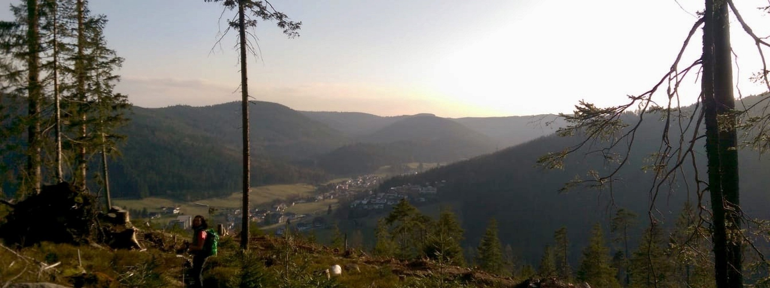 Traube Tonbach Wanderung Schwarzwald