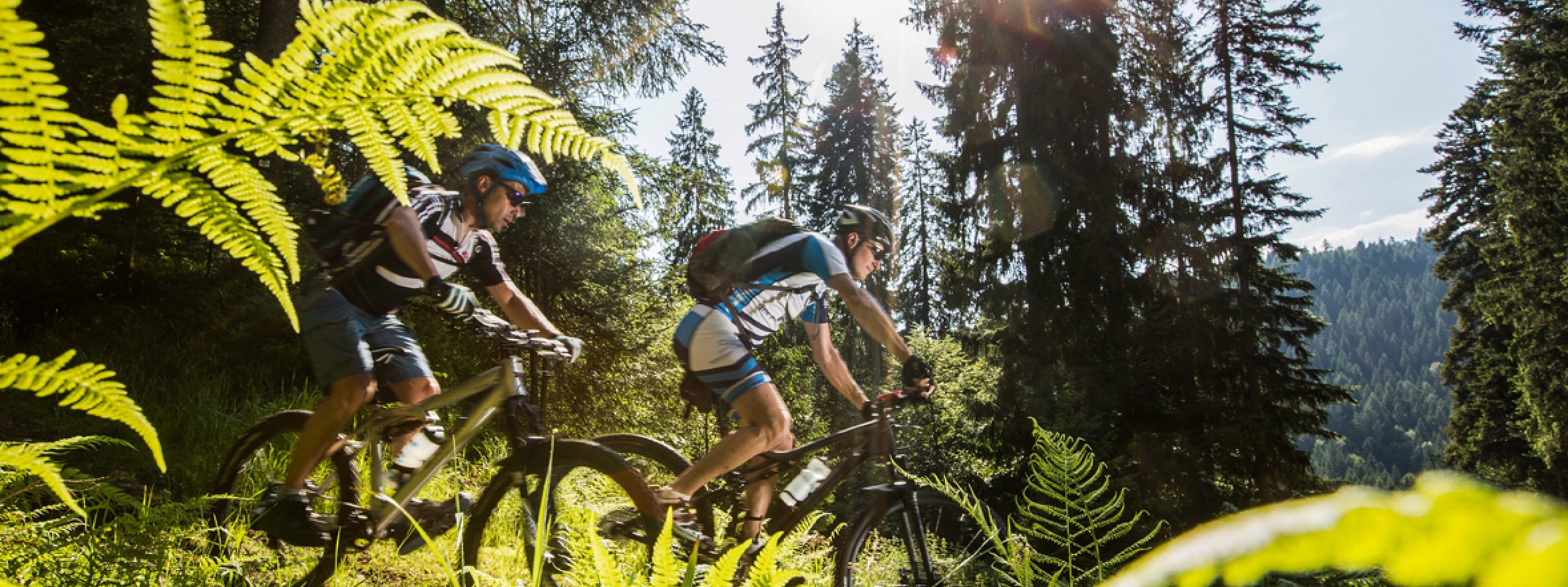 Zwei Mountainbiker fahren einen Hang nahe dem Restaurant in Baiersbronn hinab.
