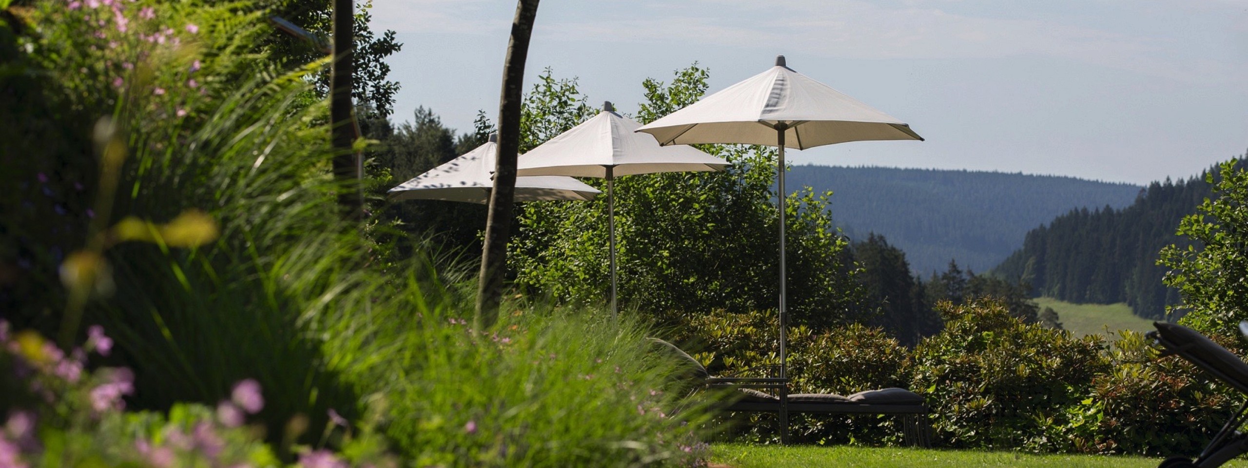 Außenbereich des Hotels mit Arrangements im Schwarzwald mit Liegen und Sonnenschirmen.