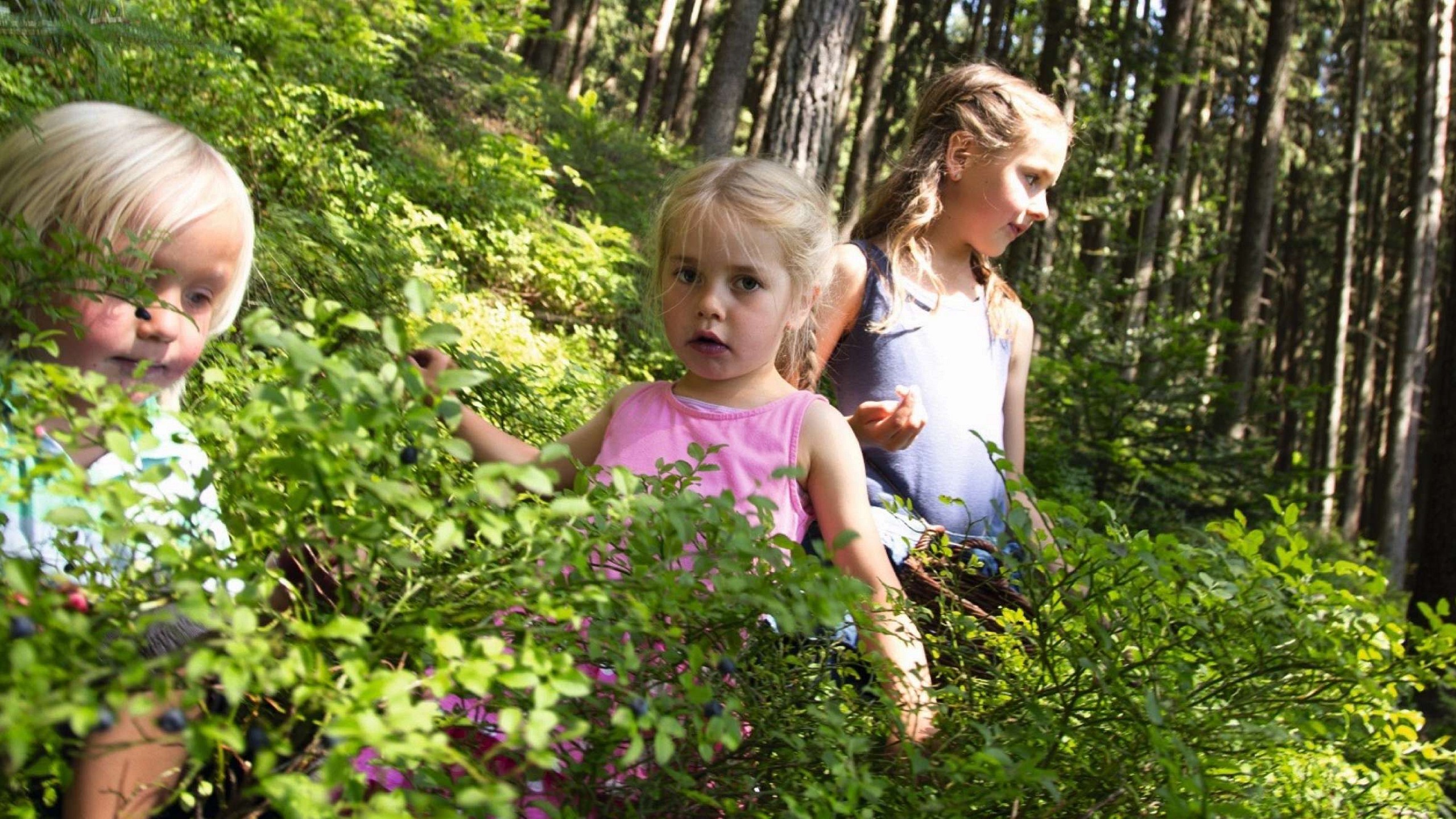 Kinder genießen ihre Zeit in der Natur bei ihrem Aufenthalt in einem der Hotelzimmer im Schwarzwald.