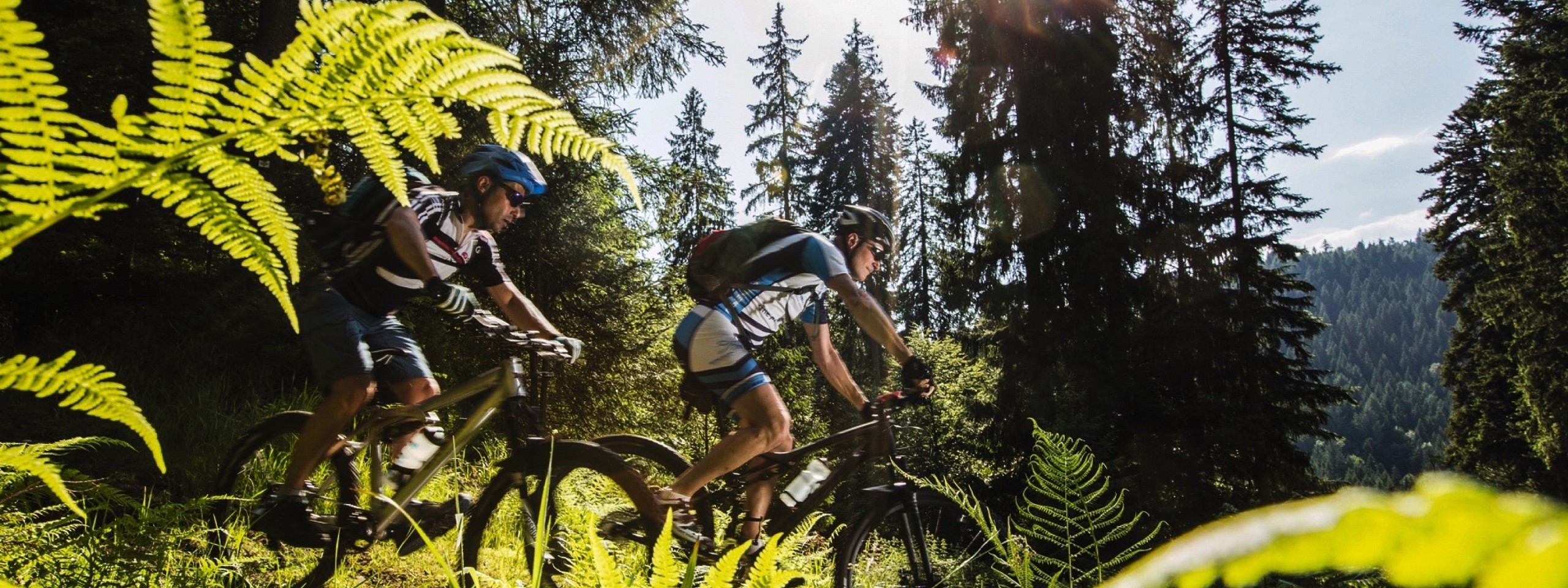 Zwei Radfahrer fahren den Hang eines Hügels in der Nähe der Eventlocation im Schwarzwald hinab.
