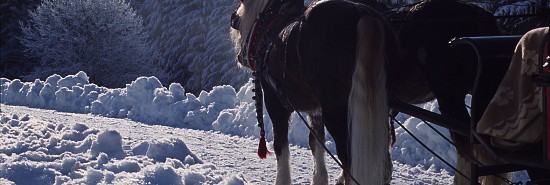 Traube Tonbach Winter Pferdekutsche